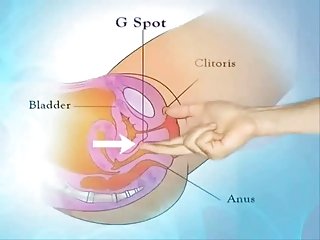 Anna Bell Peaks来上班，吃了下面的东西