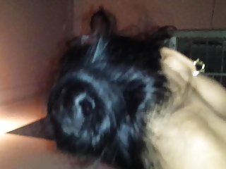 我的女朋友和她的妹妹喜欢sado和恋物癖......